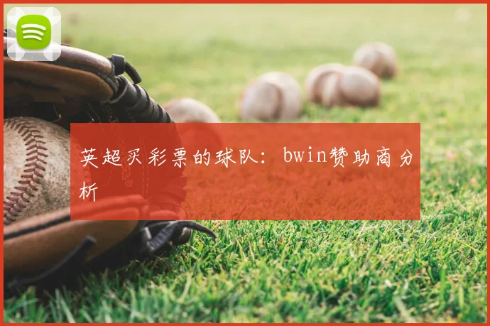 英超买彩票的球队：bwin赞助商分析