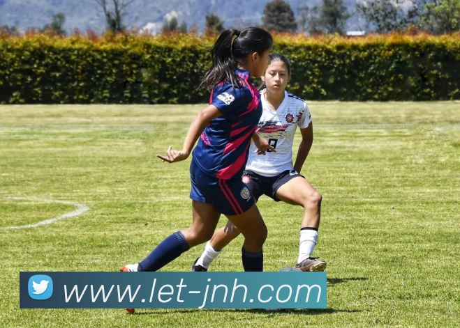 金年会体育APP 高清赛事图